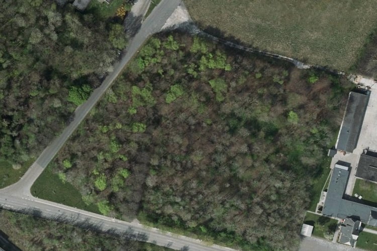 Aerial view of forrest.